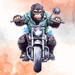 monkey riding motorbike clipart bundle