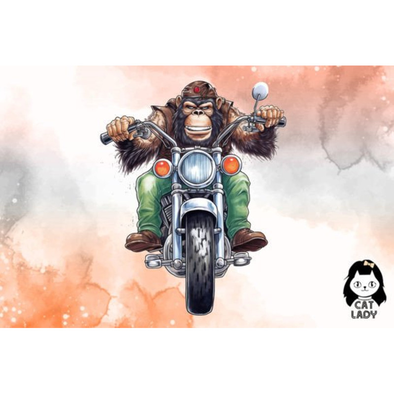 Monkey-Riding-Motorbike-Clipart-Bundle-Graphics-69321397-4-580x387.jpg