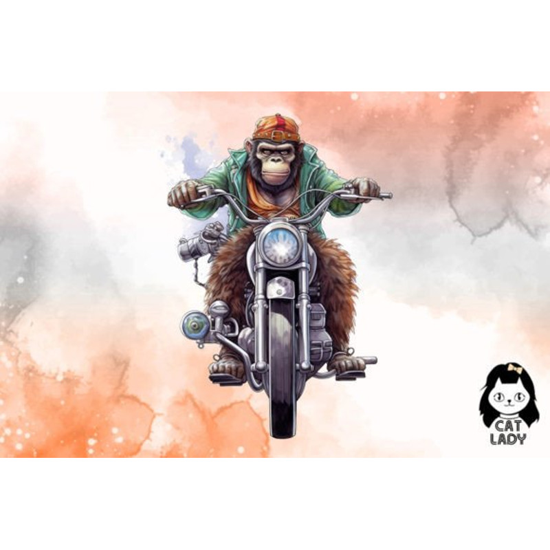 Monkey-Riding-Motorbike-Clipart-Bundle-Graphics-69321397-5-580x387.jpg