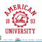 American University Eagles Stamp Officially Licensed T-Shirt copy.jpg