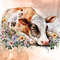 Lazy-Farm-Animal-Sleeping-Clipart-Graphics-68569564-4-580x387.jpg