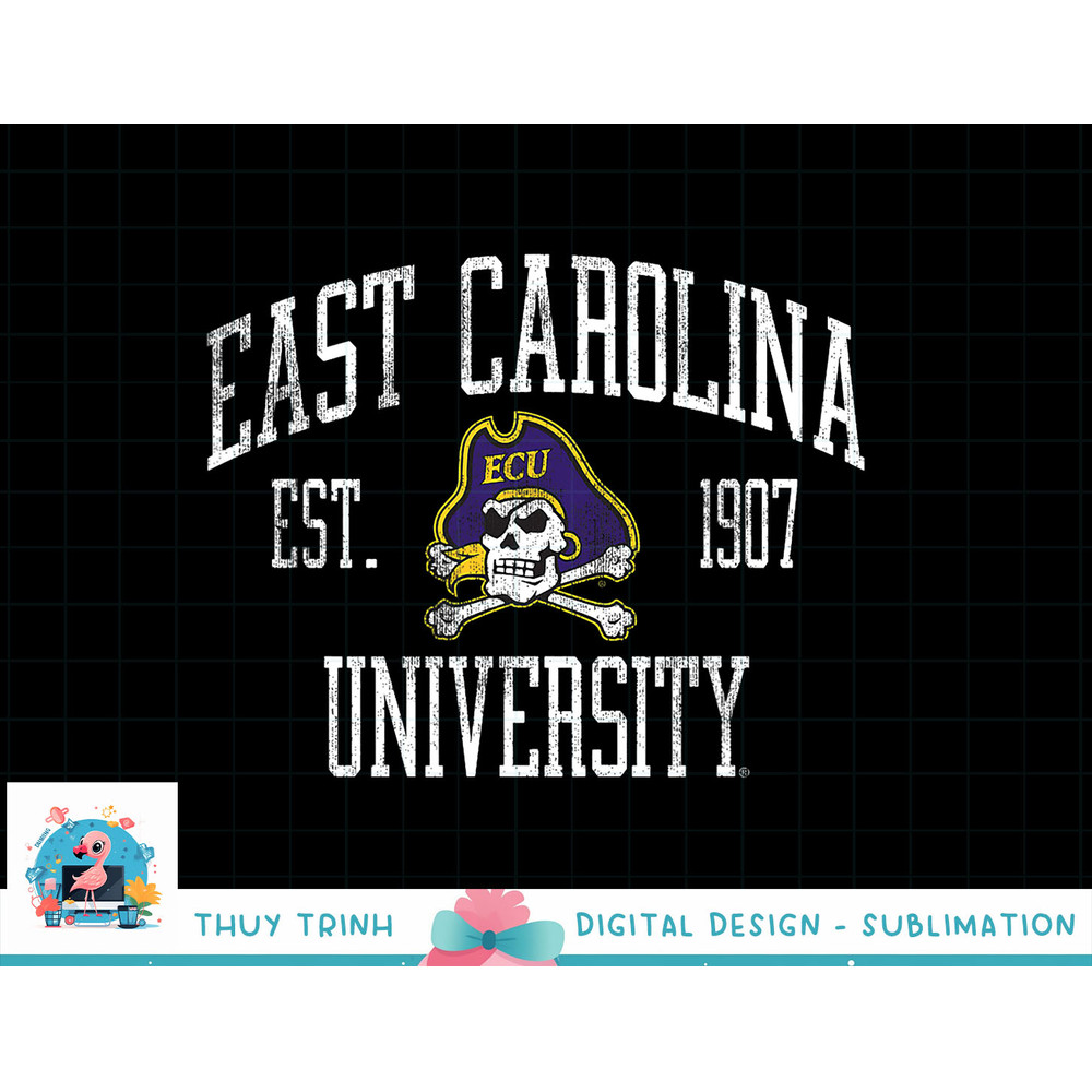 East Carolina Pirates Distressed Formal Purple png.jpg