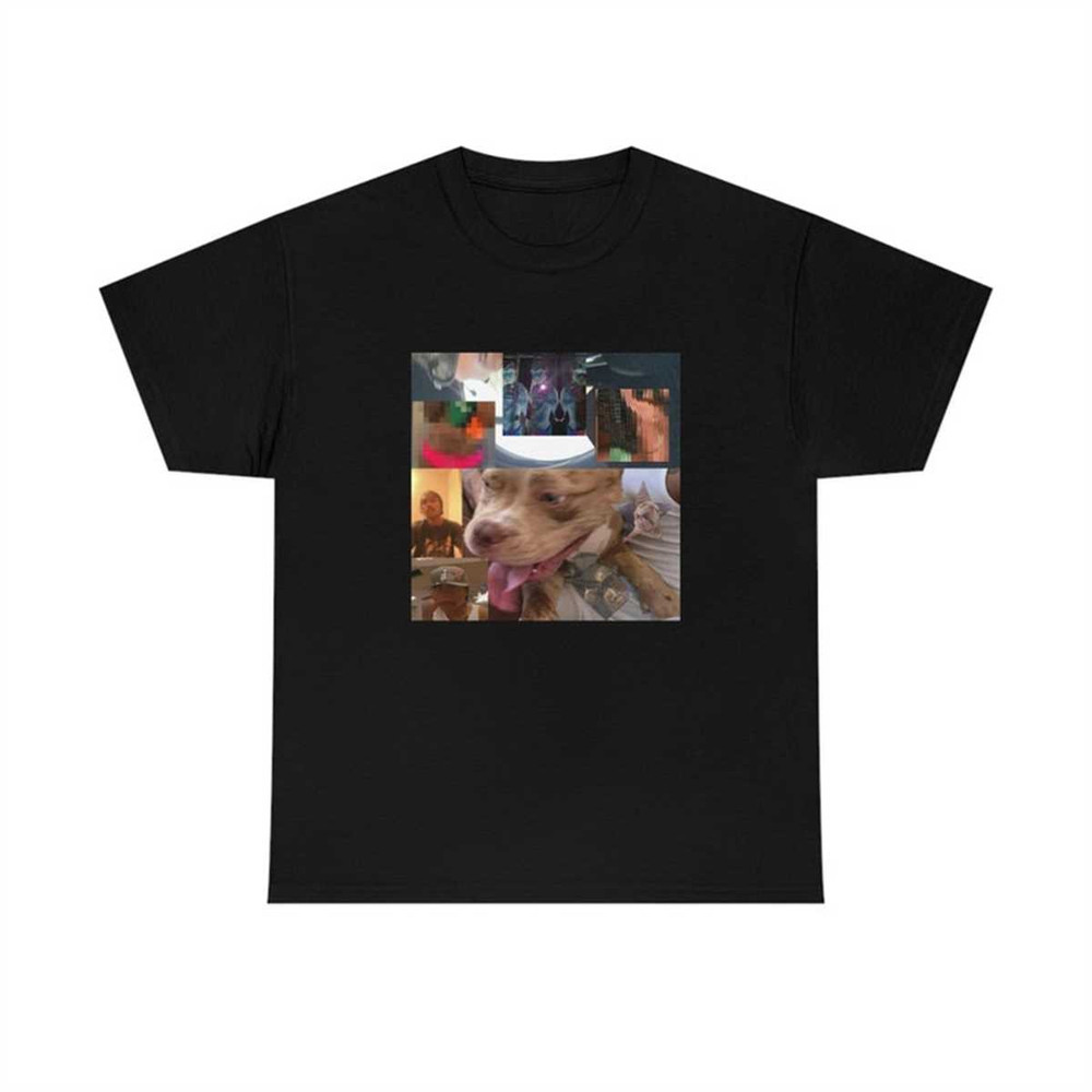 MR-2052023125652-steve-lacey-the-lo-fis-premium-unisex-t-shirt-image-1.jpg