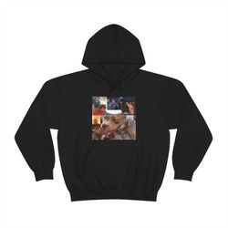 steve lacey - the lo-fis / premium unisex hoodie