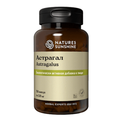 Astragalus dietary supplement