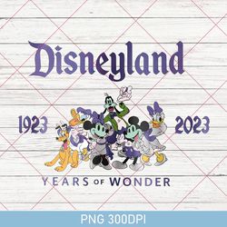 disney 100th anniversary png, 100 years of wonder png, disney magic castle png, world of magic png, disney family trip