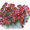 Flower pink red chrysanthemum bouquet. Watercolor painting.jpg