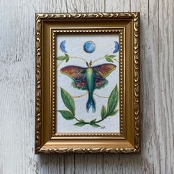 Original Moth Watercolor Painting, Moth Art, Fairycore Wall Decor, Framed Fairy Art, Moth Wall Decor, Framed Painting