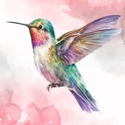 fairy hummingbird watercolor clipart