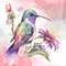 Fairy-Hummingbird-Watercolor-Clipart-Graphics-67451160-4-580x387.jpg