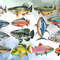 Fish-Collection-Sublimation-Clipart-Graphics-67274242-1-1-580x387.jpg