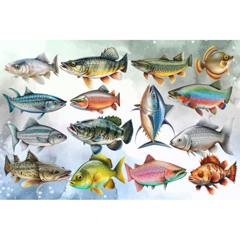 Fish-Collection-Sublimation-Clipart-Graphics-67274242-1-1-580x387.jpg