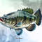 Fish-Collection-Sublimation-Clipart-Graphics-67274242-13-580x387.jpg