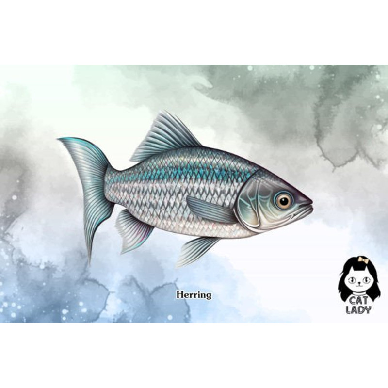 Fish-Collection-Sublimation-Clipart-Graphics-67274242-4-580x387.jpg