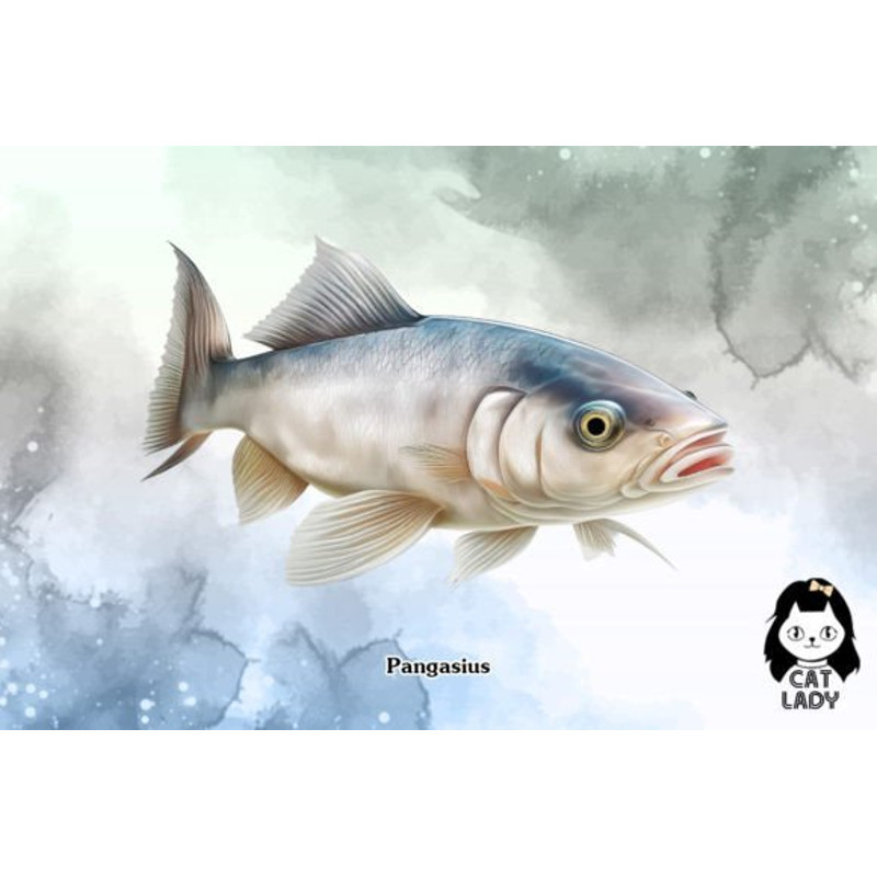 Fish-Collection-Sublimation-Clipart-Graphics-67274242-6-580x387.jpg