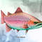 Fish-Collection-Sublimation-Clipart-Graphics-67274242-9-580x387.jpg