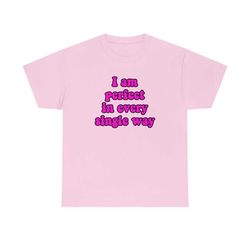 funny y2k meme tshirt - i am perfect in every single way 2000's celebrity inspired tee - gift shirt