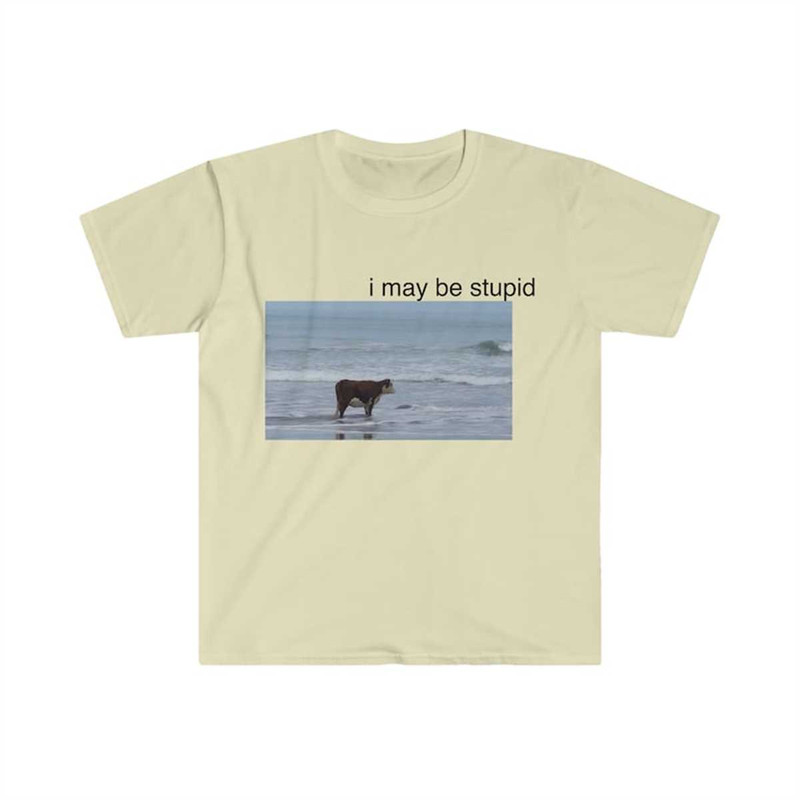 MR-225202394340-i-may-be-stupid-cow-on-beach-funny-meme-tshirt-image-1.jpg