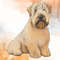 Cute-Dog-Sublimation-Clipart-Bundle-Graphics-66811266-6-580x387.jpg