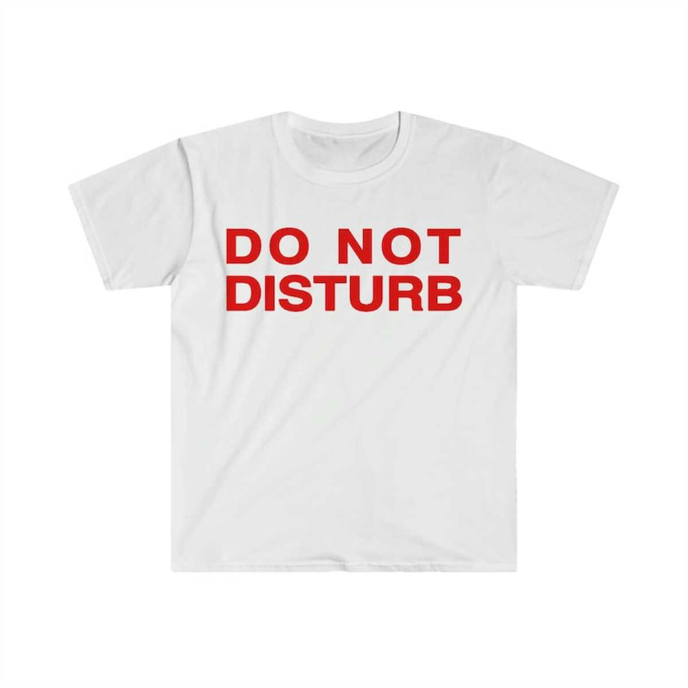MR-2252023104252-do-not-disturb-aesthetic-baby-crop-top-2000s-inspired-tee-image-1.jpg