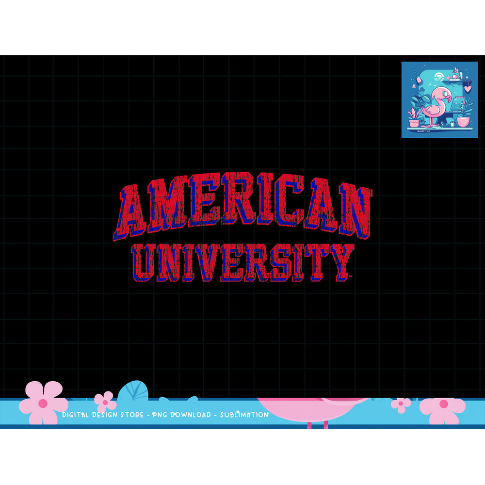 American University Eagles Retro Arch Logo T-Shirt copy.jpg
