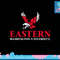 Eastern Washington Eagles Icon Officially Licensed T-Shirt copy.jpg