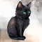 Cute-Black-Cat-Sublimation-Clipart-Graphics-65563523-4-580x387.jpg