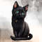 Cute-Black-Cat-Sublimation-Clipart-Graphics-65563523-5-580x387.jpg