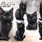Cute-Black-Cat-Sublimation-Clipart-Graphics-65563523-1-1-580x387.jpg