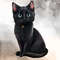 Cute-Black-Cat-Sublimation-Clipart-Graphics-65563523-2-580x387.jpg