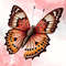 Retro-Butterfly-Rose-Sublimation-Clipart-Graphics-65195233-6-580x387.jpg