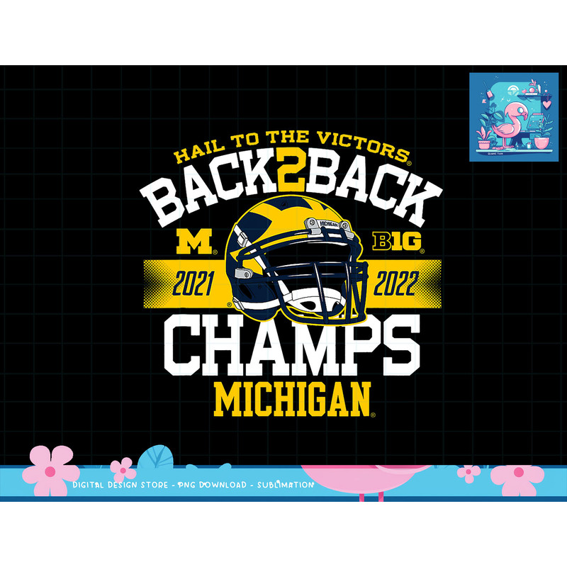 Michigan Wolverines Big Ten Champs 2022 Hail T-Shirt copy.jpg