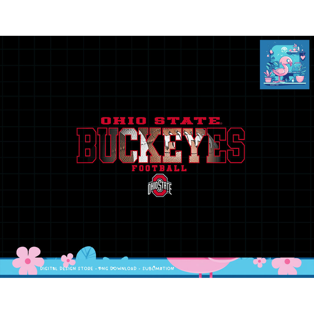 Ohio State Buckeyes Football Interception png.jpg