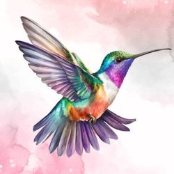 cute hummingbird watercolor clipart