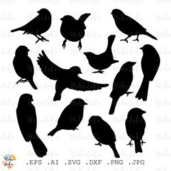 Sparrow Svg, Sparrow Silhouette, Sparrow Bundle, Sparrow Cricut,  Stencil Templates, Birds SVG, Clipart Png