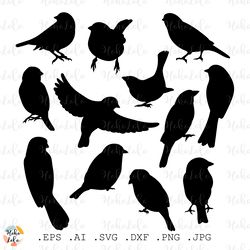 sparrow svg, sparrow silhouette, sparrow bundle, sparrow cricut,  stencil templates, birds svg, clipart png