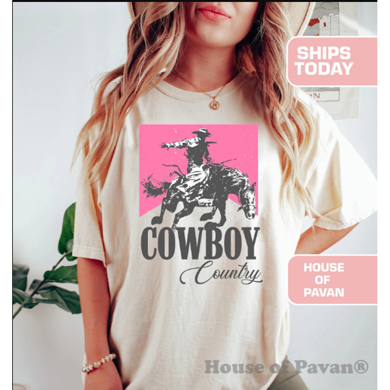 cowboy 2.png
