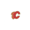 Calgary-Flames.png
