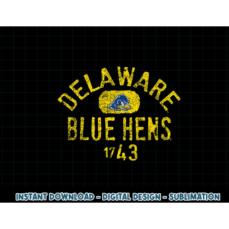 Delaware Fightin Blue Hens 1743 Vintage .jpg