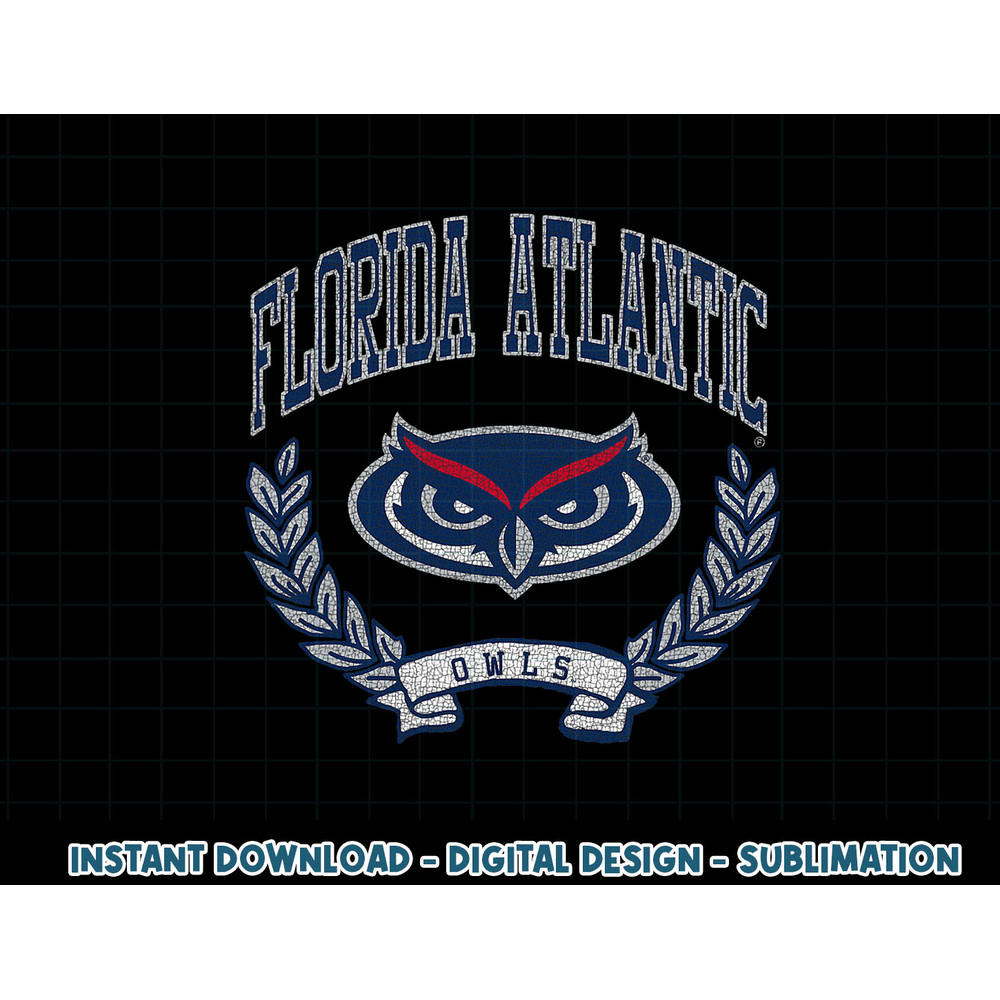 Florida Atlantic Owls Victory Vintage .jpg