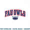 Florida Atlantic Owls Womens Arch Over Heather Gray .jpg