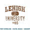 Lehigh Mountain Hawks 1865 Vintage .jpg