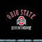 Ohio State Buckeyes Distressed Banner Black  .jpg