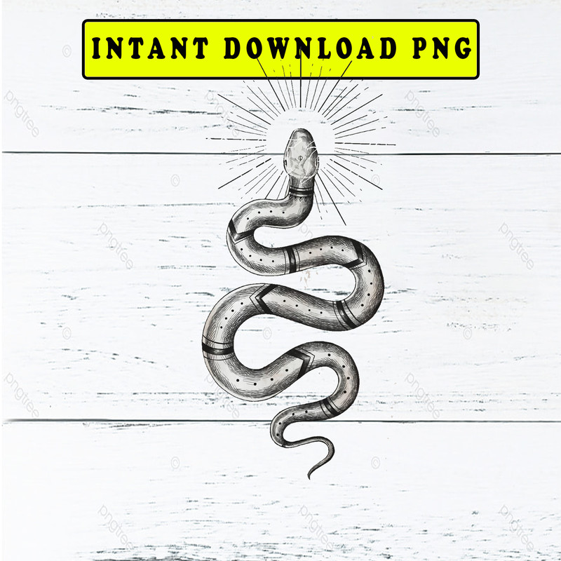 9c65ca19d5b6a0ad08c04936053f9cbe1c0dcc87_s2_n3_y1 copy.png