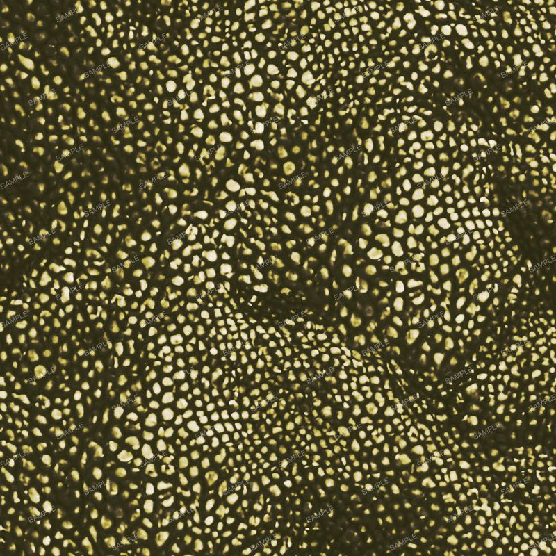 Dragons Underbelly Camo 42.jpg