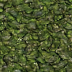 dragons underbelly camouflage 44 seamless tileable repeating pattern