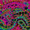 Psychedelic Tie Dye.jpg