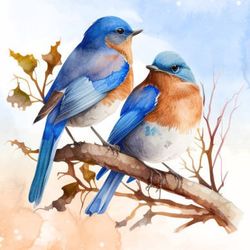 bluebird watercolor clipart bundle