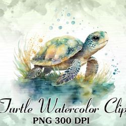 cute turtle colorful watercolor clipart