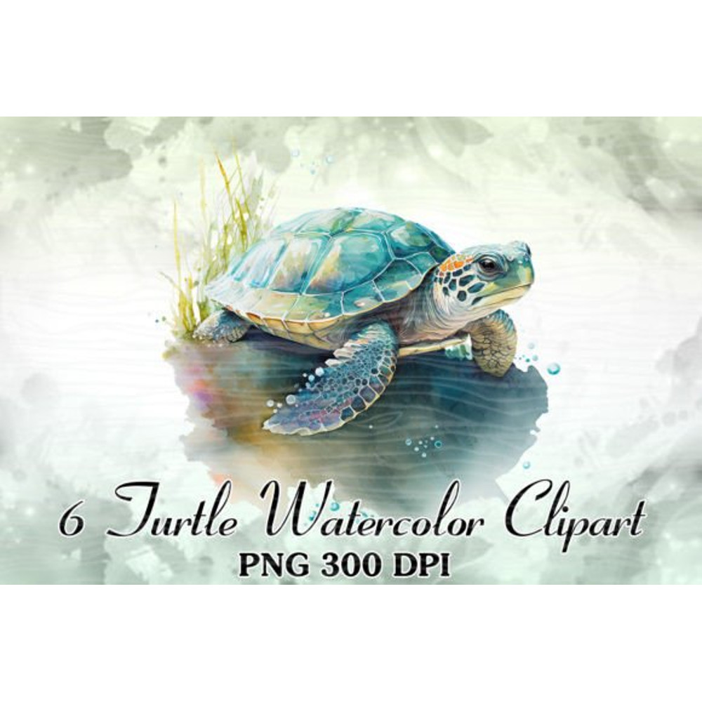Cute-Turtle-Colorful-Watercolor-ClipArt-Graphics-60580695-5-580x387.jpg